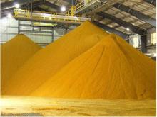 Corn Gluten Meal 60% Protein Corn Original