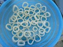 hot sale whole nature frozen squid ring with EU sttp