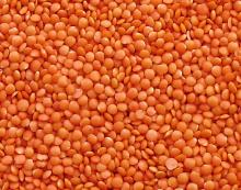 Excellent quality Red Lentils For Sale