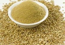 Coriander seeds and powder for sale