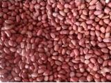 Red skin Peanuts offer