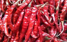 Bird Eye dried Red Chilli Pepper