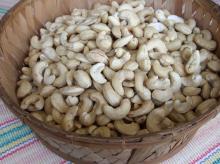 Fresh Cashew Nuts