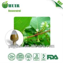 99% Trans  Resveratrol  Polygunom Cupsidatum Extract  bulk  powder
