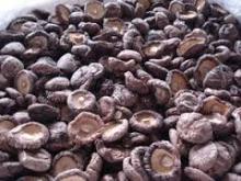 Dried log tea flower shiitake mushrooms whole