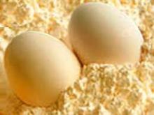 Whole  Egg  Powder food grade