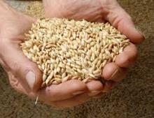 Hot-Sale Organic rice bag packing Corn, millet, black rice, buckwheat, oats, barley rice, 50kg size