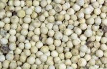 Grade A white pepper