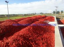 Tomato paste 28/30HB