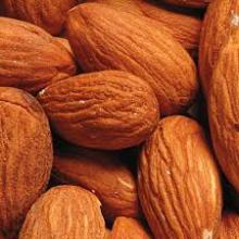  High   Quality   Almond   nuts 