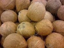  Sell   Coco a Beans,  Coco  Nuts, Cotton Seeds, Cashew, Ginger