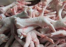 Chiken feet