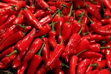 fresh quality chili affordable price