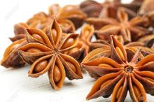 Illicium Verum, Anise Autum Crop and Spring Crop