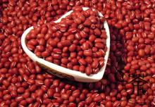Best Grade Azuki Beans / Small Red Beans/Red Kidney Beans