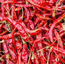 Dried Red Chaotian Chili of Sanying