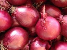 Yellow Onion in Good Quality affordable price