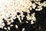 Flax Seeds, Chia Seeds, Hemp Seeds, Poppy Seeds, Sesame Seeds,