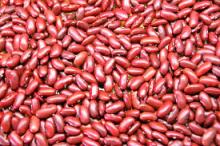 Non-Gmo Size 2.8mm-4.5mm Dried Azuki Red Bamboo Bean