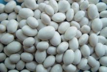 best grade white kidney beans ready for sup