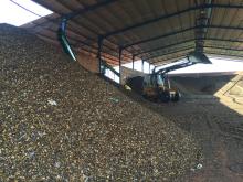Cashew nut shell after extraction oil