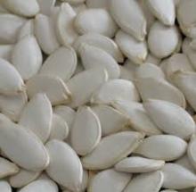 Quality  Snow   pumpkin   seeds  for sale/ pumpkin   seeds /..
