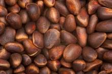 Cedar Nutslotus bakeries cedar nuts kernel snow white pumpkin seeds