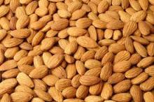 Best Quality Organic Bitter  Almonds  / Raw Natural Almond Nuts /  Roasted  Almond Nuts