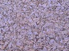 Rolled / Flakes  Oats  / White  oats  Suppliers