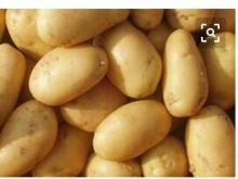 good quality potatoes