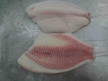 Frozen  IQF   tilapia   fillets 