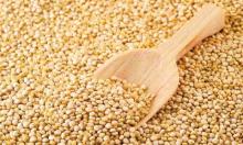 SUPPLIERS QUINOA  WHITE  FROM PERUVIAN