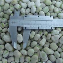 Frozen Baby Broad Bean