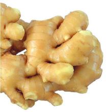 pickled fresh  ginger  and  ginger   product s