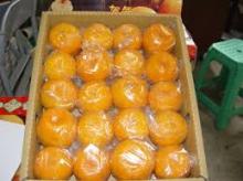 2017 Sweet Fresh mandarin  orange /Fresh  Orange , Naval  Orange ,  Valencia   Orange s