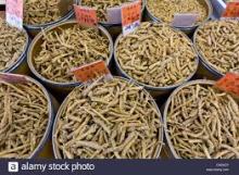 Dried Siberian ginseng herb