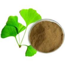 Hot Sale Ginkgo Biloba Extract with competitive price