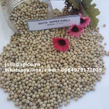 Vietnam white pepper double washed 2017 crop