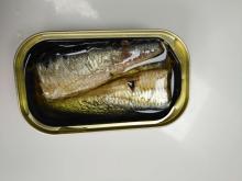 50X125g canned sardines in oil