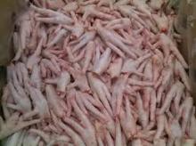 frozen halal chicken paws