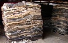 100% Wet and Salted Donkey Hides and Cow Hides