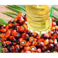 Quality Refined And Crude Palm Oil For Sale At Very Cheap Prices