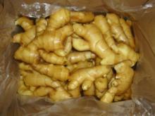 fresh ginger,air dry ginger