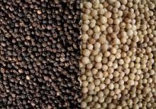 Dried White Peper 500gl/ Black Pepper 550gl