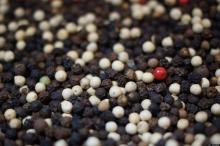 Raw and Powder White Black Pepper