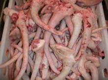  Frozen   Pork   Tail 