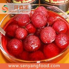 Sour Tropical Canned Fruit Canned Yang Mei Berry Fruit In Natural Juice