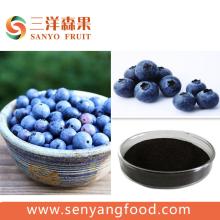 natural pigment Blueberry Anthocyanins / buleberry ecxtract with good quality