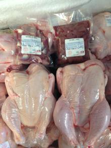 Certified USA Quality Halal Frozen Whole Chicken and Parts / Gizzards / Thighs / Feet / Paws / Drums