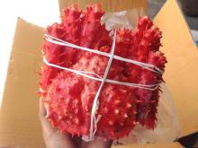 Cooked Frozen Whole King Crab